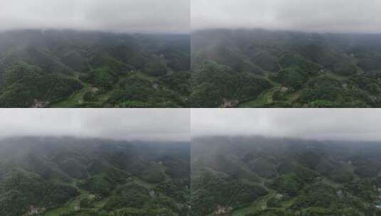 自然风光雨后森林迷雾航拍高清在线视频素材下载