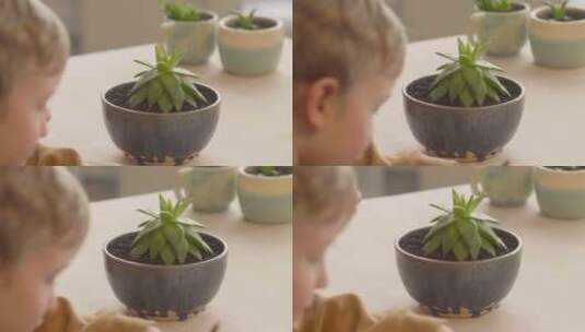 相机聚焦触摸植物的小女孩高清在线视频素材下载