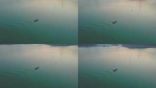 在碧绿湖水中的摩托艇高清在线视频素材下载