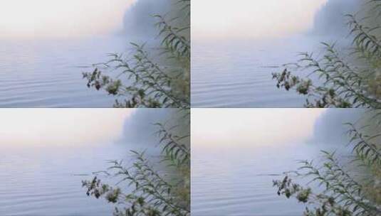 雾蒙蒙的湖面高清在线视频素材下载