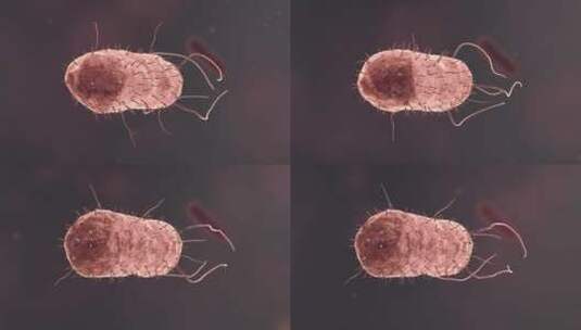 医疗病菌病毒细菌分子病原体生物三维动画高清在线视频素材下载