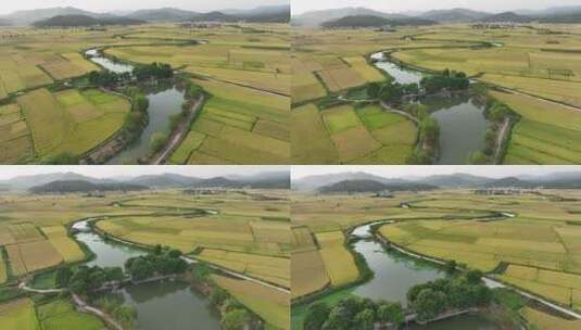 乡村农田稻田河流航拍高清在线视频素材下载