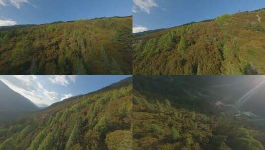 4K穿越机航拍雅拉雪山溪流自然树林高清在线视频素材下载