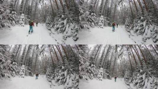 滑板和滑雪旅游概念。在山林树林中排队上山高清在线视频素材下载