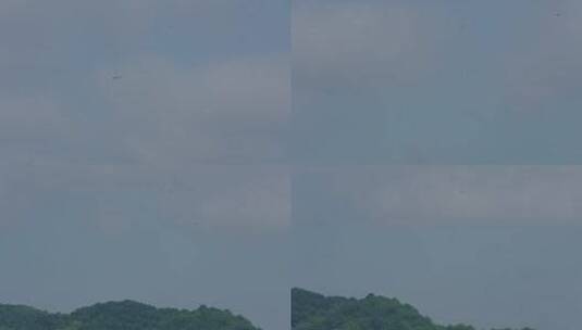 Z 4K 鸟儿在天空飞翔高清在线视频素材下载
