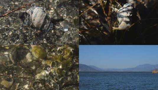 水浪 水面意境高清在线视频素材下载