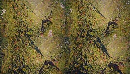 陕西秦岭太平森林公园秋景高清在线视频素材下载