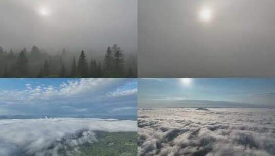 浓雾森林云海云层飘动高山流云云海翻滚高清在线视频素材下载