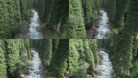 森林溪流大自然升格慢动作高清在线视频素材下载