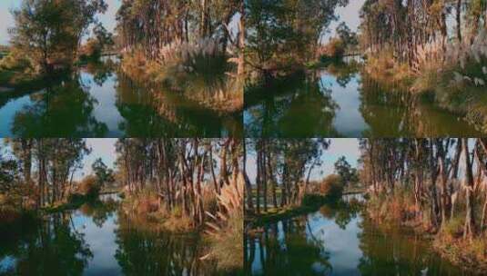云南旅游滇池南岸湿地公园小河高清在线视频素材下载