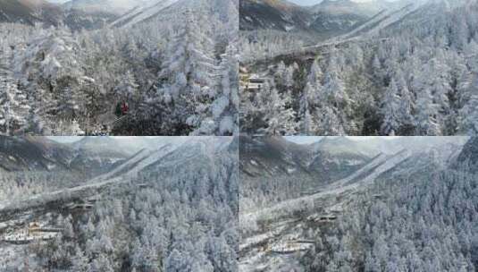 冬季海螺沟冰川森林公园雪景雾凇旅行航拍高清在线视频素材下载