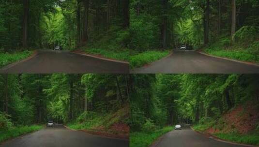 开车穿梭在森林公路pov高清在线视频素材下载