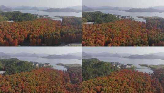 杭州临安青山湖水上森林公园高清在线视频素材下载