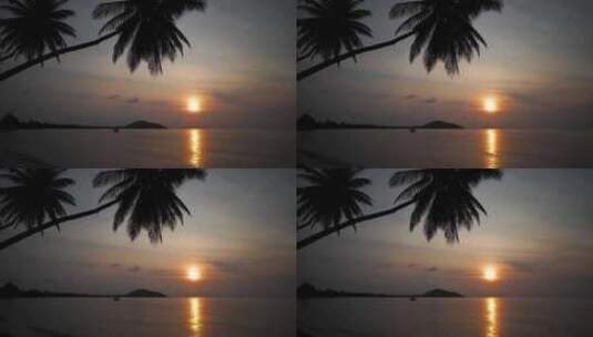 海边的夕阳 椰树高清在线视频素材下载