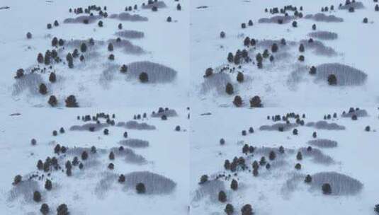唯美雪原美景 水墨丹青画卷高清在线视频素材下载