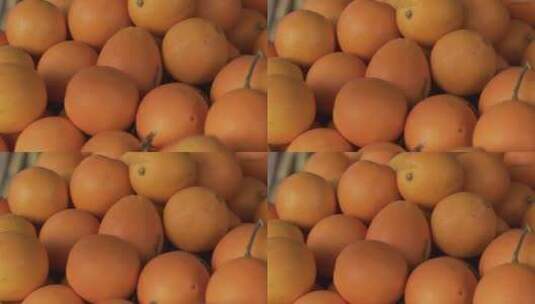 橙子高清在线视频素材下载