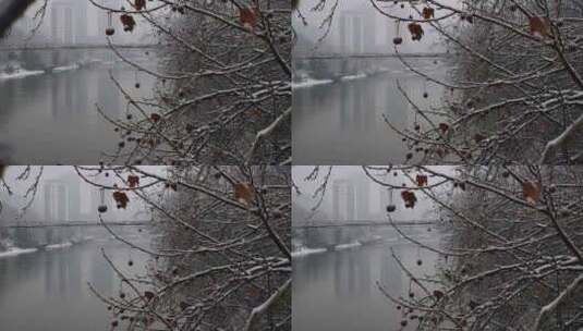 下雪时候的河边风景高清在线视频素材下载