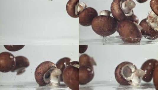 菌类 香菇高清在线视频素材下载