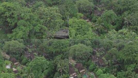 Ubud Pura Gunung Leb高清在线视频素材下载