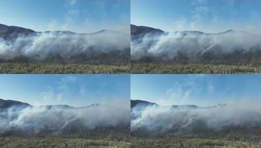 早春山林发生山火高清在线视频素材下载