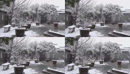 公园雪景高清在线视频素材下载