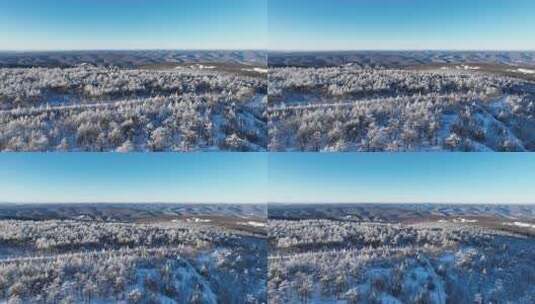 航拍大兴安岭林海雪原风光高清在线视频素材下载