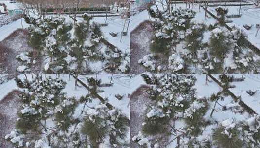 积雪覆盖的公园景象高清在线视频素材下载