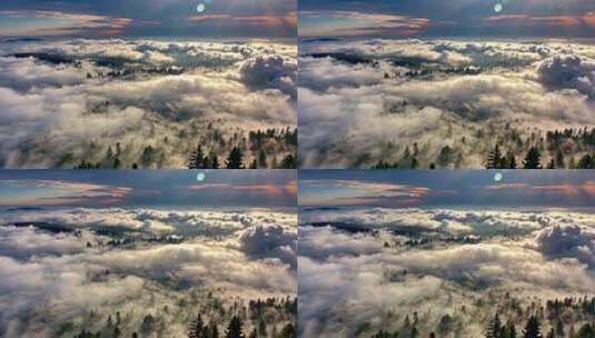 森林阳光云海森林云雾缭绕树林山大自然风景高清在线视频素材下载