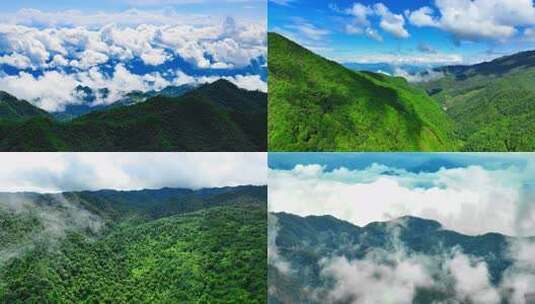 云海 茶山 山川 云南原始森林 云南景东高清在线视频素材下载