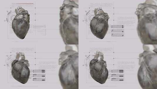 数据化全息风格的医疗卫生人体器官视频素材高清在线视频素材下载
