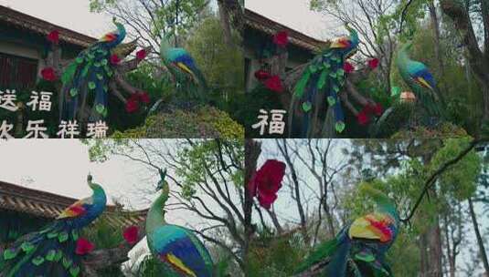 中式园林孔雀装饰景观高清在线视频素材下载