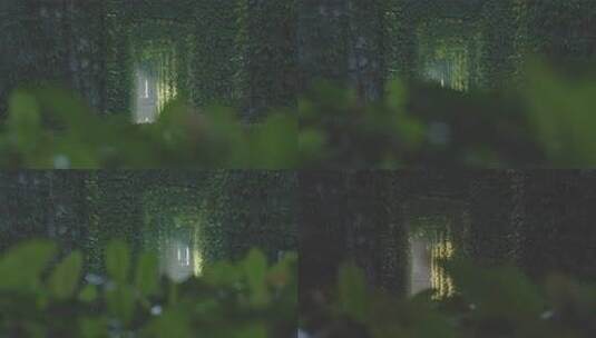 春天成都二环路隧道绿野仙踪高清在线视频素材下载