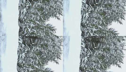 下雪天树枝上的积雪高清在线视频素材下载