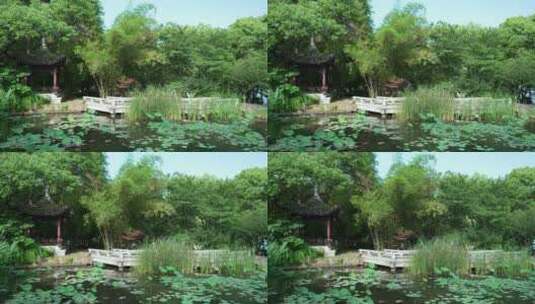 武汉东湖风景区湖北书画院高清在线视频素材下载