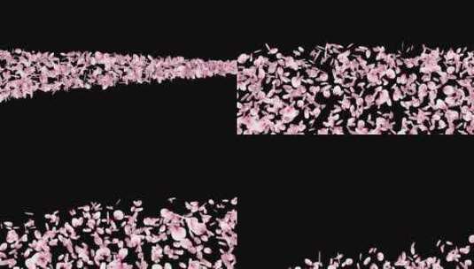 飘落的花瓣带通道高清在线视频素材下载