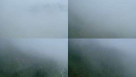 云海中的原始森林高清在线视频素材下载
