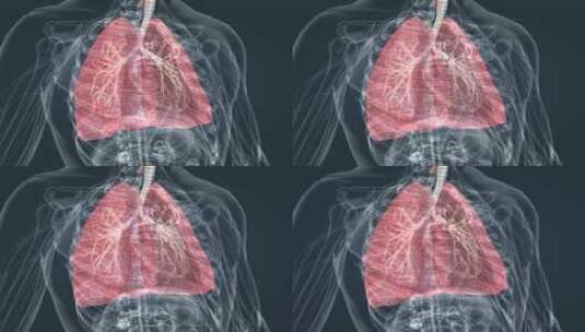 肺呼吸肺活量深呼吸支气管医学特效三维动画高清在线视频素材下载