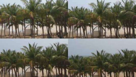航拍海边的沙滩椰子树海景高清在线视频素材下载
