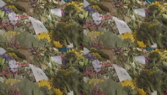 绿色公园花卉贡品特写镜头高清在线视频素材下载