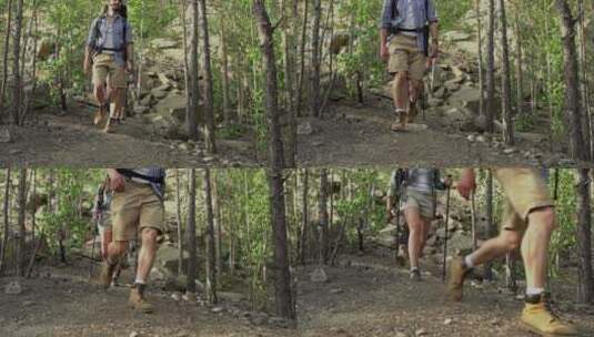 树林里徒步旅行的小组高清在线视频素材下载