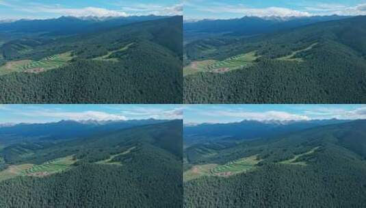 祁连山国家公园夏季航拍4K高清在线视频素材下载