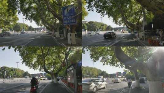 南京的街头梧桐树马路高清在线视频素材下载