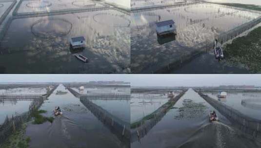 苏州阳澄湖航拍清晨日出水产养殖区高清在线视频素材下载