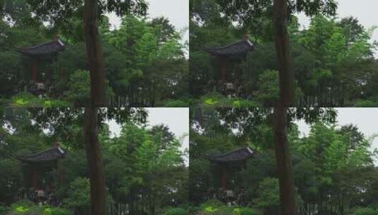 诗画江南植物园林4K 唯美雨水意境 白噪音高清在线视频素材下载