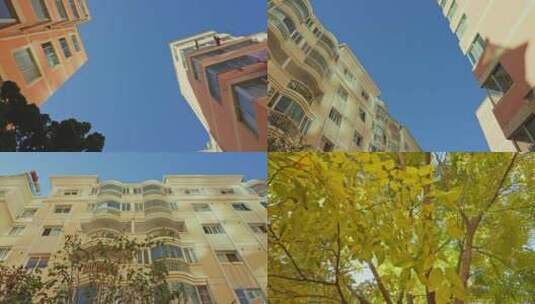 城市居民小区一角盆景阳光，视频素材高清在线视频素材下载