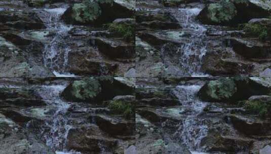 江南树林森林生态泉水溪水升格空镜高清在线视频素材下载