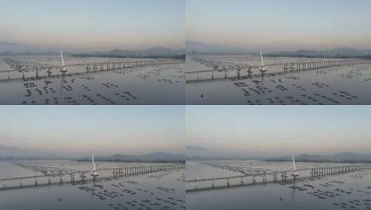 深圳南山区深圳湾大桥航拍高清在线视频素材下载