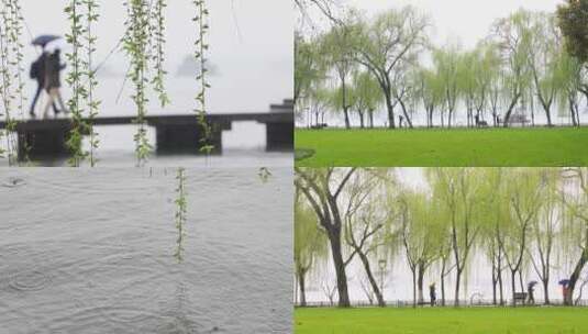 杭州西湖三月雨天柳树空镜高清在线视频素材下载