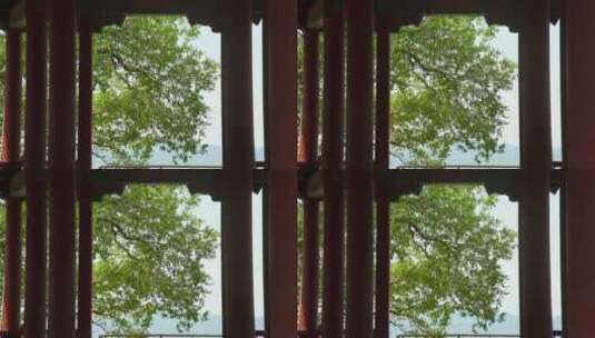 颐和园佛香阁古典园林高清在线视频素材下载