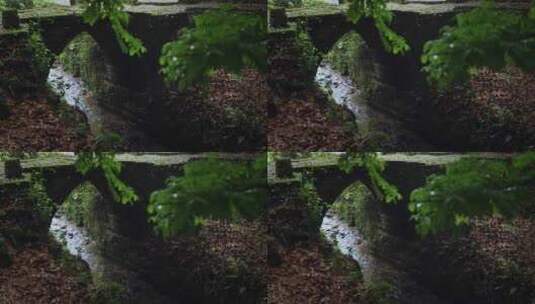 【正版素材】大自然石桥小溪流水高清在线视频素材下载